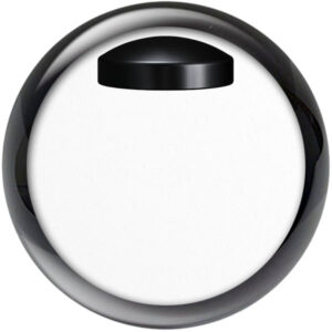 Dragon Midnight Poly